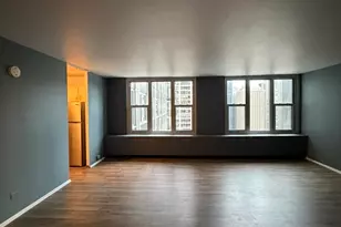 400 E Randolph St, Chicago, IL 60601 - Photo 5