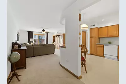 10 S Wille Street #603, Mount Prospect, IL 60056 - Photo 3