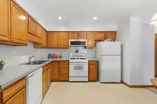 10 S Wille St, Mount Prospect, IL 60056 - Photo 7