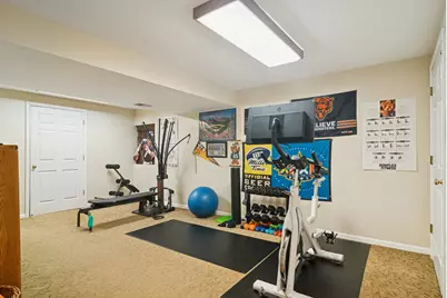 481 Pheasant Ridge Road, Lake Zurich, IL 60047 - Photo 29