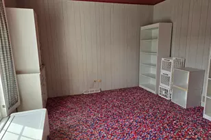 1663 E Rietveld Dr, Crete, IL 60417 - Photo 49