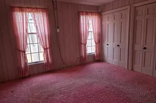 1663 E Rietveld Dr, Crete, IL 60417 - Photo 45