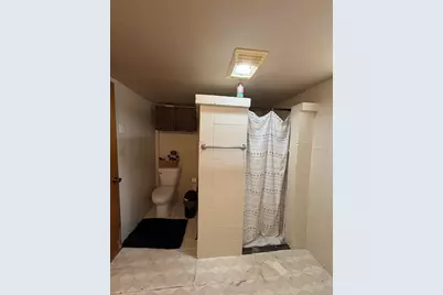 509 W Grant Street, Streator, IL 61364 - Photo 17