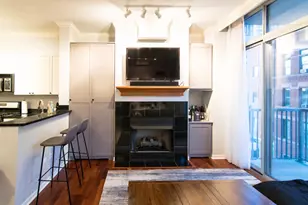 1546 N Orleans St, Chicago, IL 60610 - Photo 5