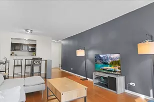 801 S Plymouth Ct, Chicago, IL 60605 - Photo 3