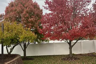 550 Doxbury Ln, New Lenox, IL 60451 - Photo 37