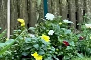 2323 Clyde Terrace, Homewood, IL 60430 - Photo 23