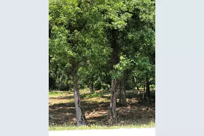 12940 Hadley #3 Hadley Road, Homer Glen, IL 60491 - Photo 3