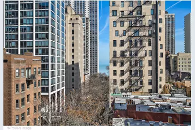 1255 N State Parkway #7B, Chicago, IL 60610 - Photo 23