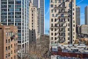 1255 N State Pkwy, Chicago, IL 60610 - Photo 23