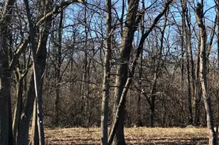 12934 Hadley #4 Hadley St, Homer Glen, IL 60491 - Photo 1