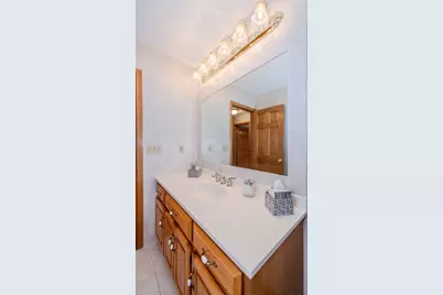 18816 S Chestnut Drive, Shorewood, IL 60404 - Photo 47