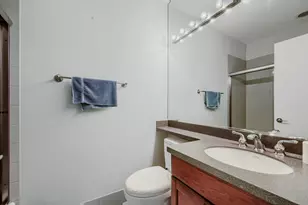 481 N Clinton St, Chicago, IL 60654 - Photo 27