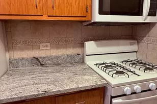 7939 163rd Ct, Tinley Park, IL 60477 - Photo 11