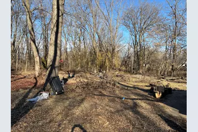 1406 Dial Street, Benton, IL 62812 - Photo 3