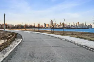 3817 S Ellis Ave, Chicago, IL 60653 - Photo 15