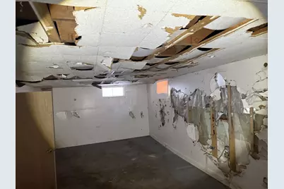 213 S Summit Street, Wheaton, IL 60187 - Photo 19