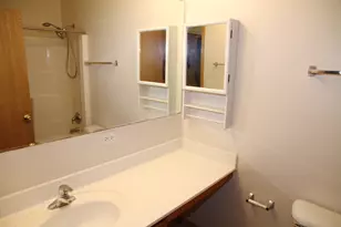 383 Chesapeake Ln, Oswego, IL 60543 - Photo 9