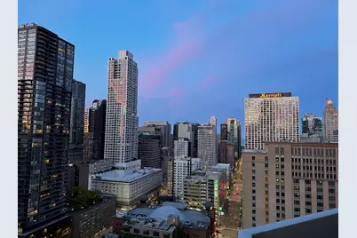 545 N Dearborn Street #W2804, Chicago, IL 60654 - Photo 43