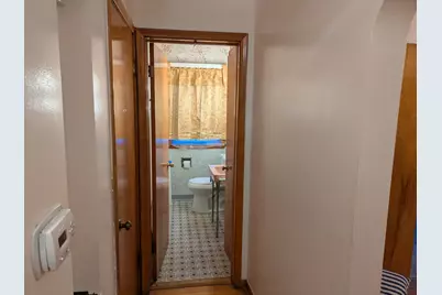 8421 S Paulina Street, Chicago, IL 60620 - Photo 19