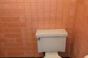 8421 S Paulina St, Chicago, IL 60620 - Photo 13