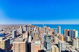 1030 N State St, Chicago, IL 60610 - Photo 27