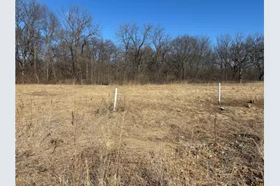 Lot 130 & Lot 131 Chippewa Trail, Albany, IL 61230 - Photo 7