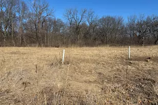 Lot 130 & Lot 131 Chippewa Trail, Albany, IL 61230 - Photo 7