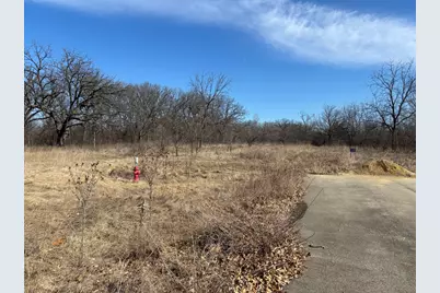 Lot 130 & Lot 131 Chippewa Trail, Albany, IL 61230 - Photo 1