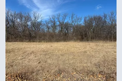 Lot 130 & Lot 131 Chippewa Trail, Albany, IL 61230 - Photo 3