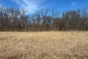 Lot 130 & Lot 131 Chippewa Trail, Albany, IL 61230 - Photo 3