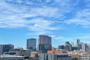 6 S Laflin St, Chicago, IL 60607 - Photo 11