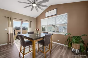 748 Cashmere Ln, Elgin, IL 60124 - Photo 19