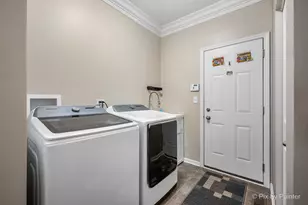 748 Cashmere Ln, Elgin, IL 60124 - Photo 21