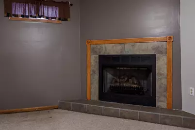 8699 Glacier Drive, Byron, IL 61010 - Photo 41