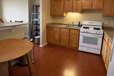 4800 S Lake Park Avenue #1009A, Chicago, IL 60615 - Photo 5