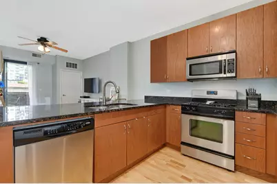 451 W Huron Street #502, Chicago, IL 60654 - Photo 5