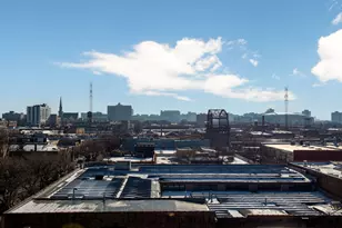 466 N Paulina St, Chicago, IL 60622 - Photo 29