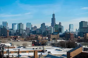 466 N Paulina St, Chicago, IL 60622 - Photo 25