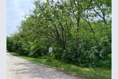 Lot 65,66,&64 Main Street, Spring Grove, IL 60081 - Photo 3