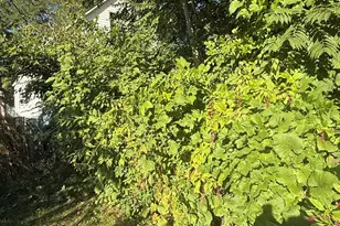 445 155th Pl, Calumet City, IL 60409 - Photo 5