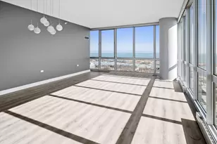 1629 S Prairie Ave, Chicago, IL 60616 - Photo 9