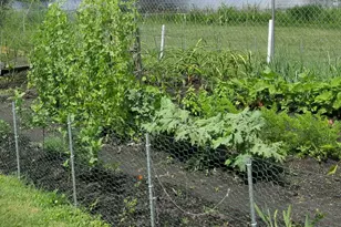 7105 St Tropez Ct, Fox Lake, IL 60020 - Photo 33