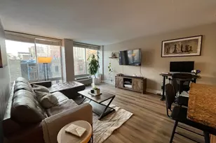 450 W Briar Pl, Chicago, IL 60657 - Photo 5