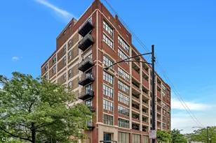 320 E 21st St, Chicago, IL 60616 - Photo 23