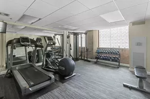 320 E 21st St, Chicago, IL 60616 - Photo 17