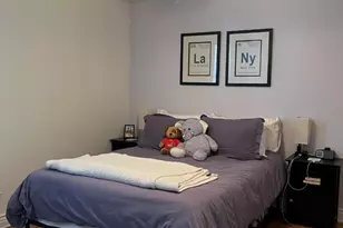 643 W Barry Ave, Chicago, IL 60657 - Photo 17