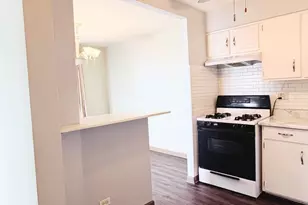 9725 S Karlov Ave, Oak Lawn, IL 60453 - Photo 3