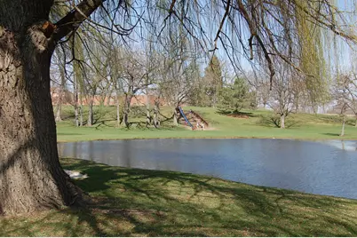 12312 Tinsley Street, Huntley, IL 60142 - Photo 23