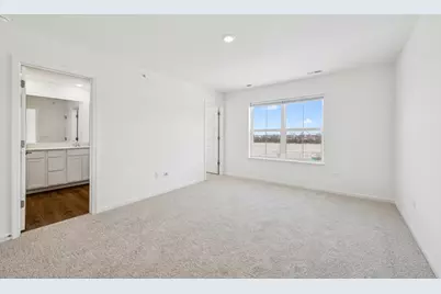 12312 Tinsley Street, Huntley, IL 60142 - Photo 19